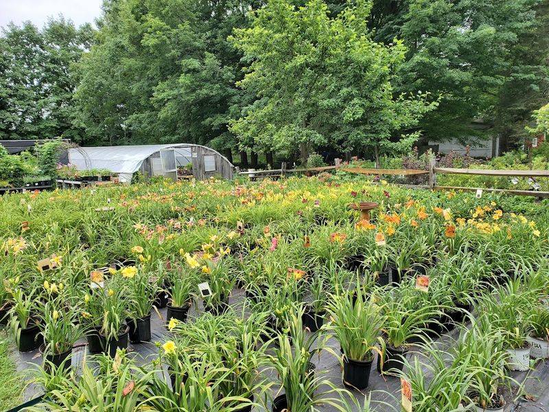 A Celebrated New England Destination