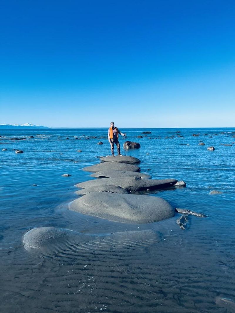 Tide Pools Teeming With Alaskan Marine Life