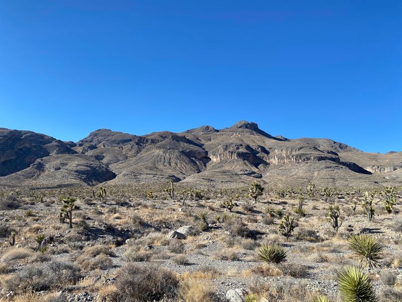 Meet The Desert’s Most Impressive Climbers