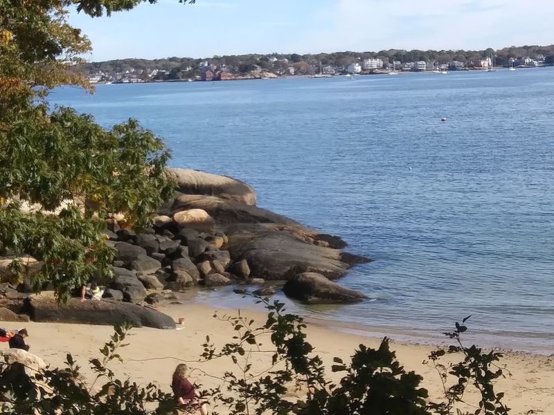 Summer Lifeguards Make The Sheltered Cove Safer For All Swimmers