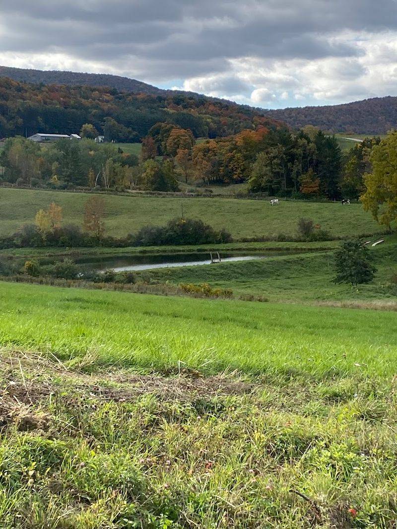 The Berkshires In Berkshire County