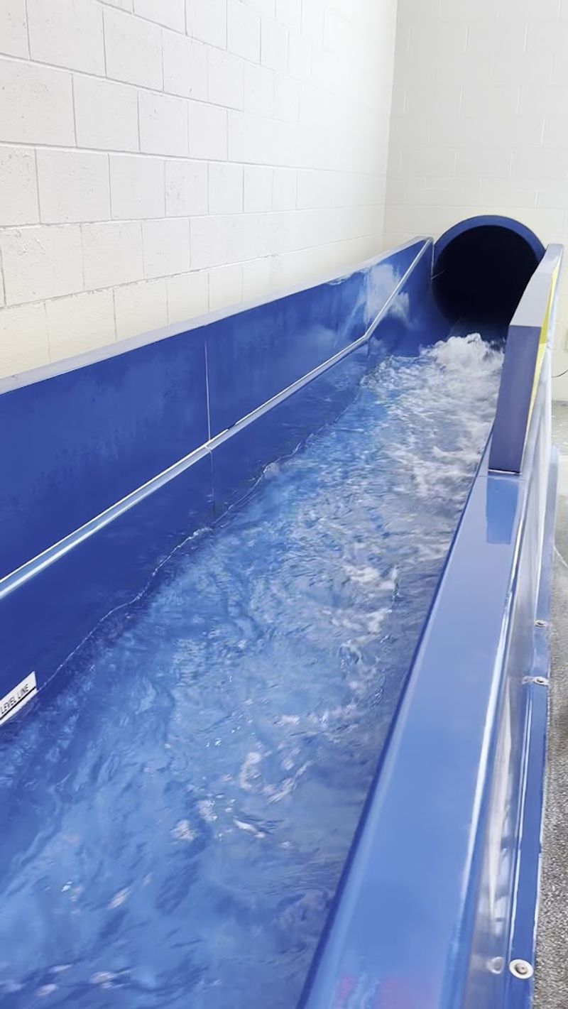 Swim Lessons And Aquatic Programs