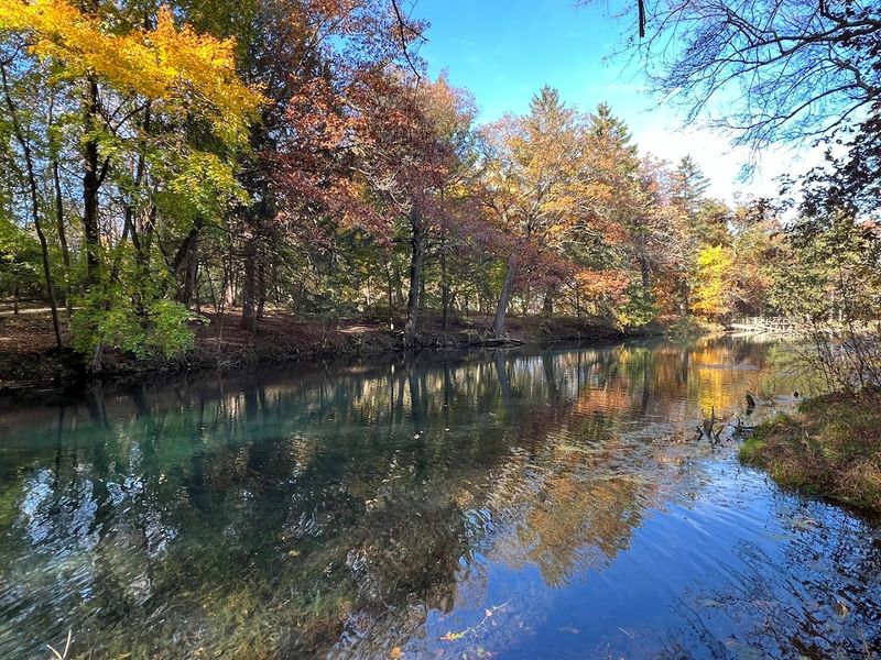 The Pond Was Once A Popular Trout Spot
