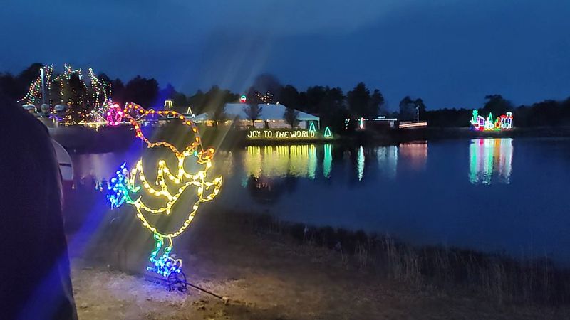 Millions Of Lights That Turn A Cold Night Into Something Spectacular