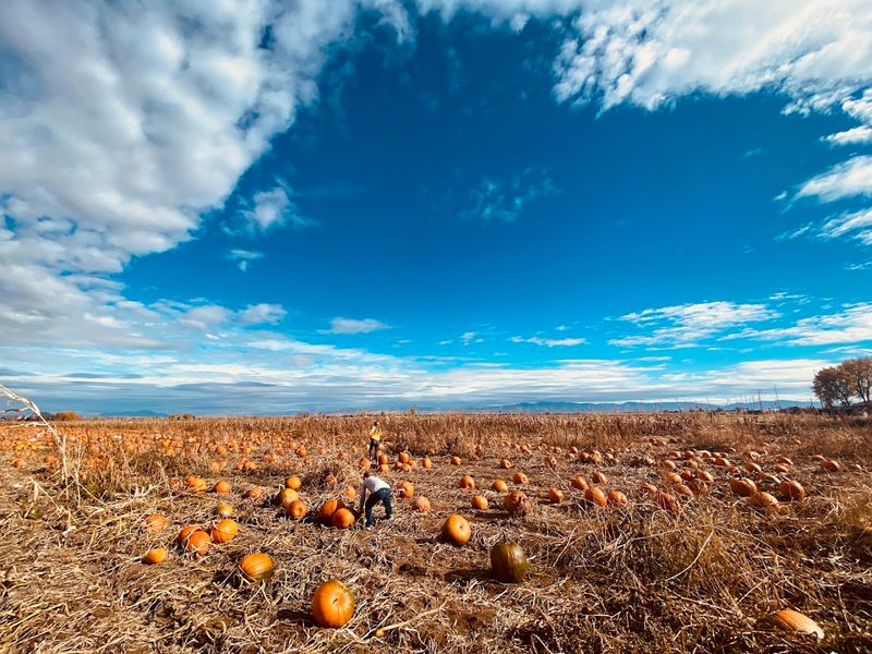 Fall At The Ranch Is A Whole Different Adventure