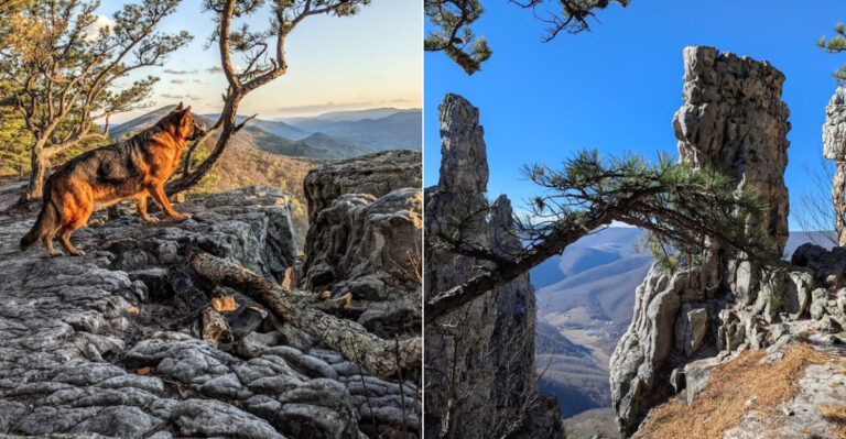 The Stunning Ridge Trail In West Virginia With A View That Stretches For 70 Miles
