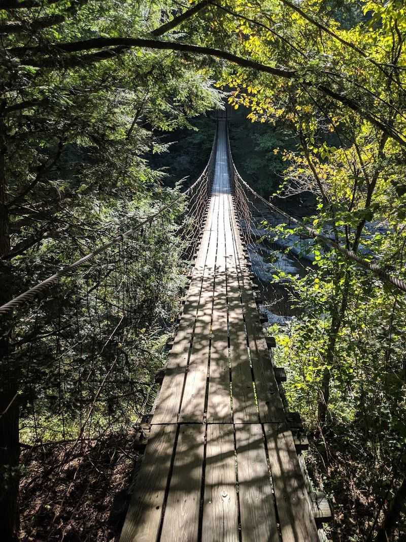 Pathways To Serenity