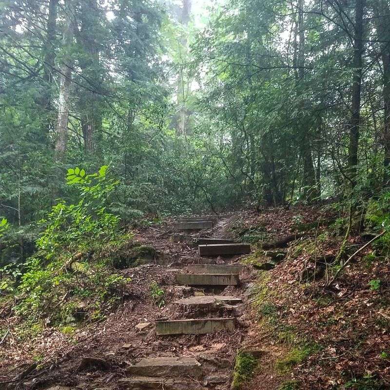 This Trail Weaves Together A Tapestry Of Terrains