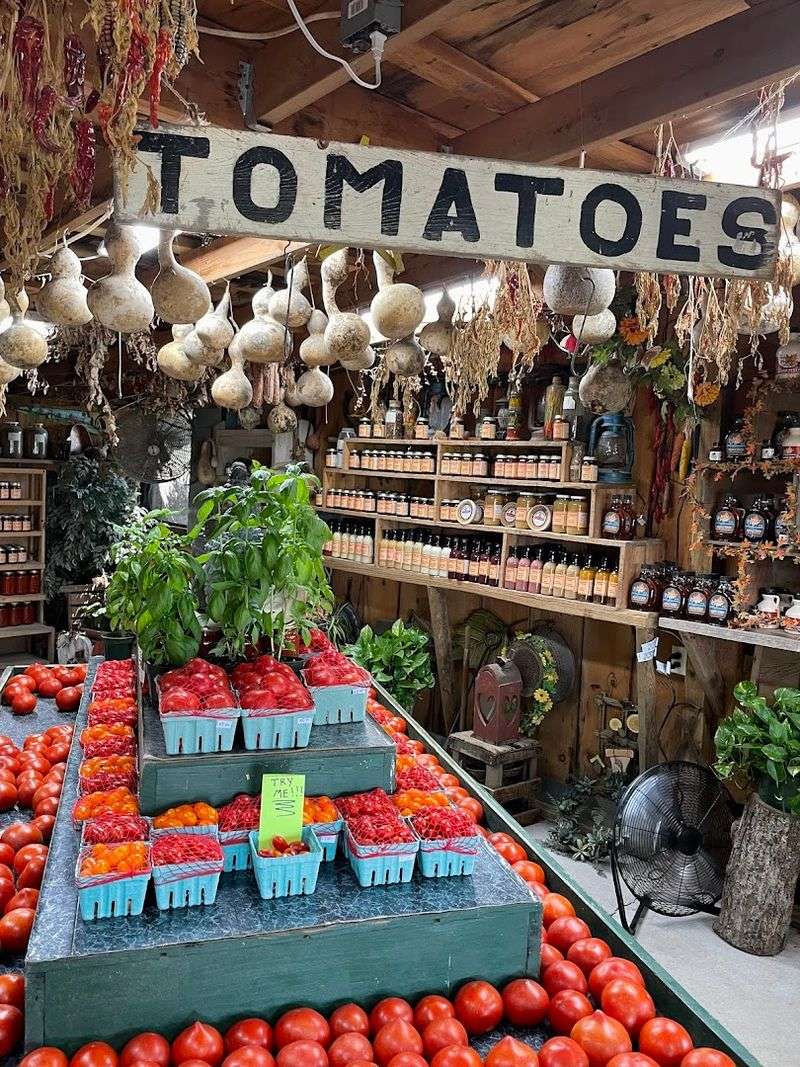 A Farm Stand Full Of Fresh Surprises