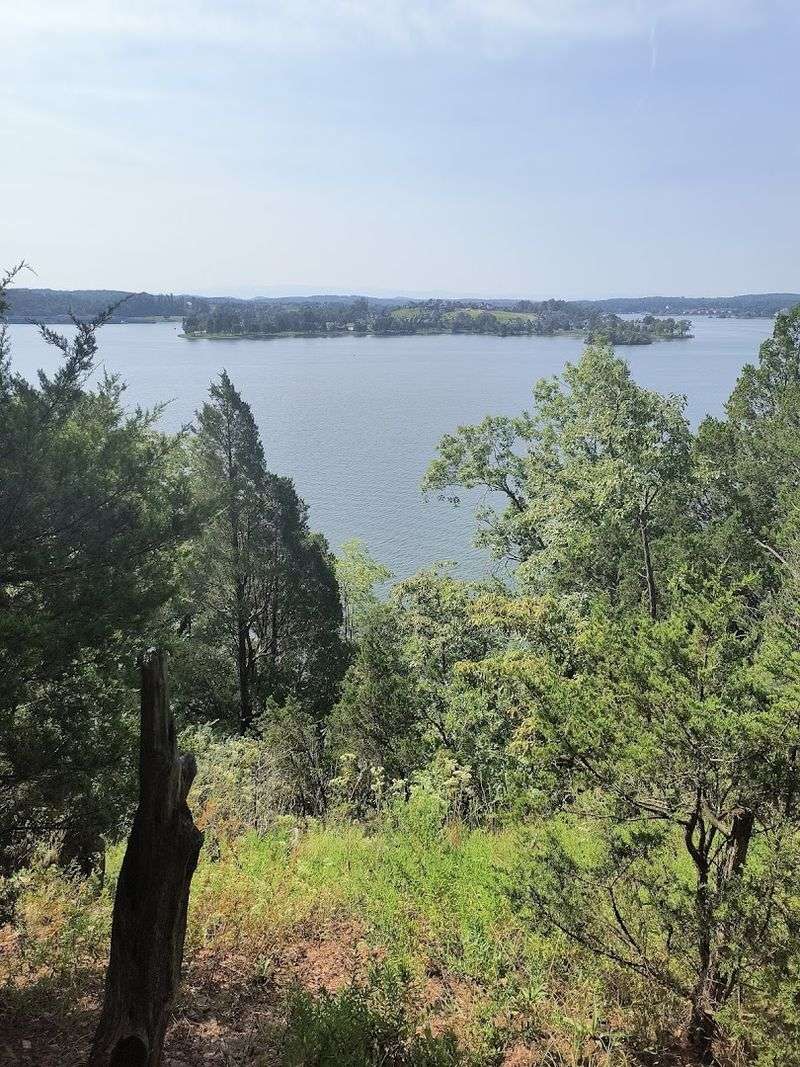 A Limestone Bluff's Ascent