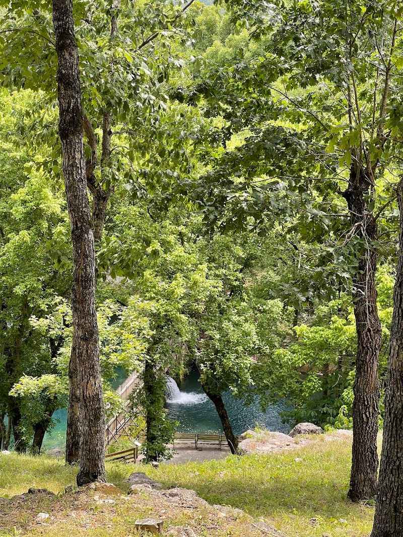 Woodland Walkways Pass Native Ozark Plant Life