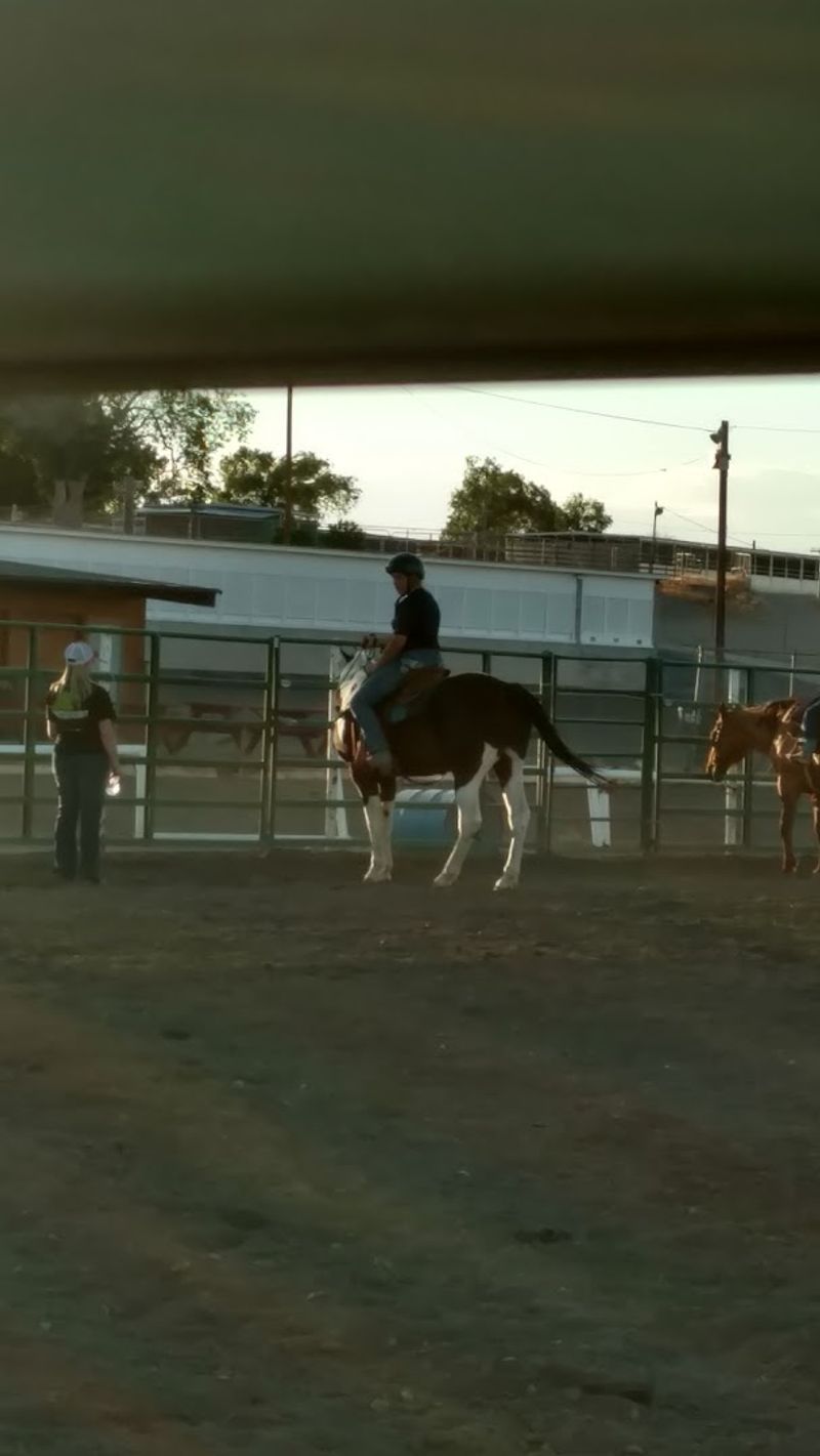 Rodeo Thrills That Keep The Crowd Cheering