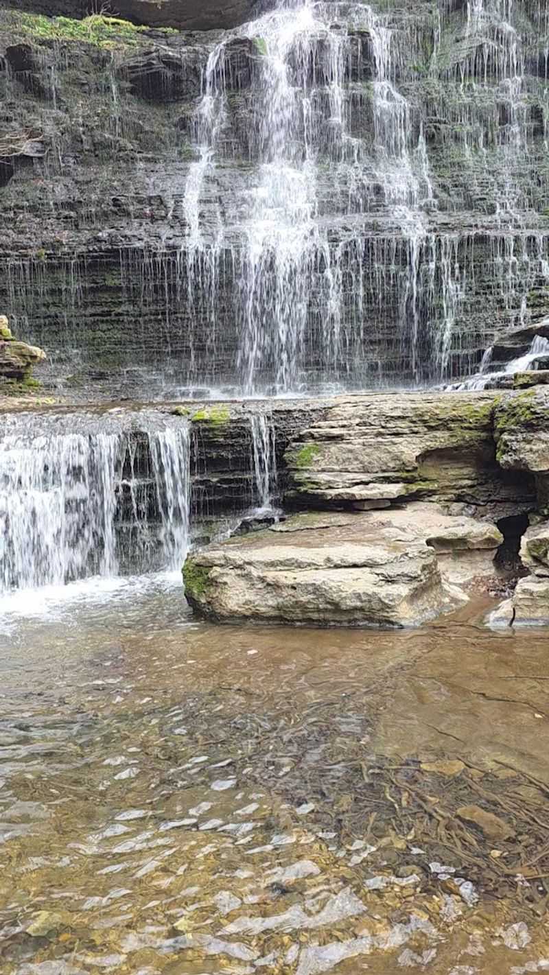 Creek Wading And Wet Feet Are Part Of The Deal