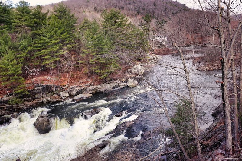 Ancient Cascades And Salmon Legends