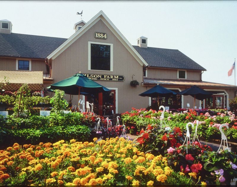 A Continuous Bloom Of Innovation Rooted In Five Generations Of Tradition