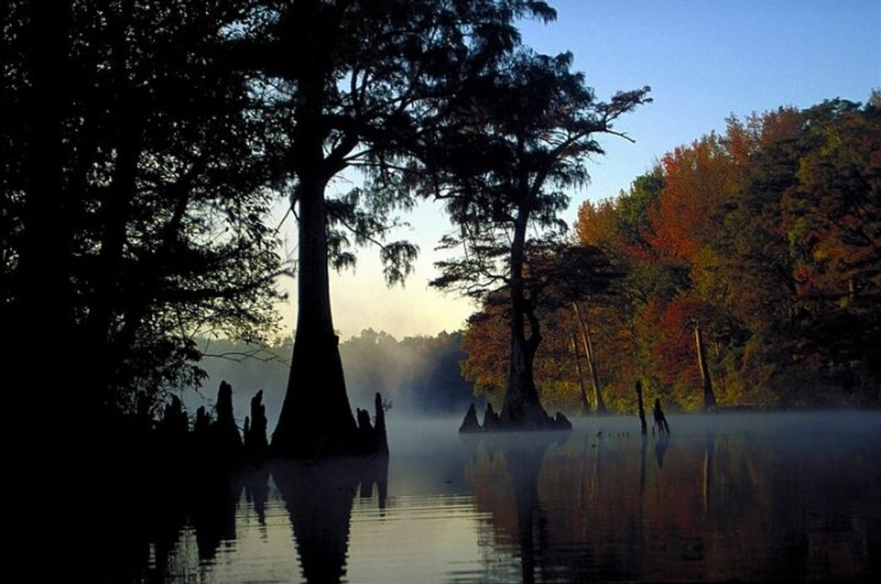 What The Wildlife Drive Reveals Around Every Bend