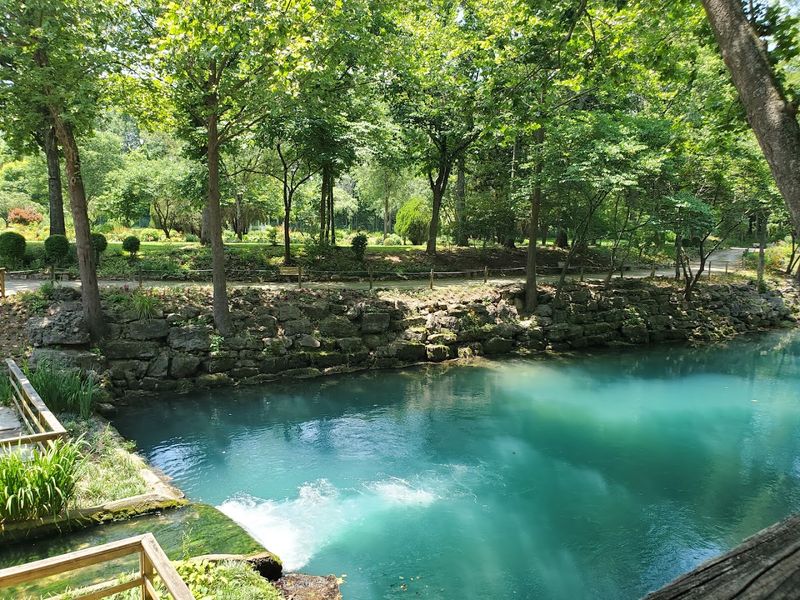 The Lagoon Eventually Reaches The White River
