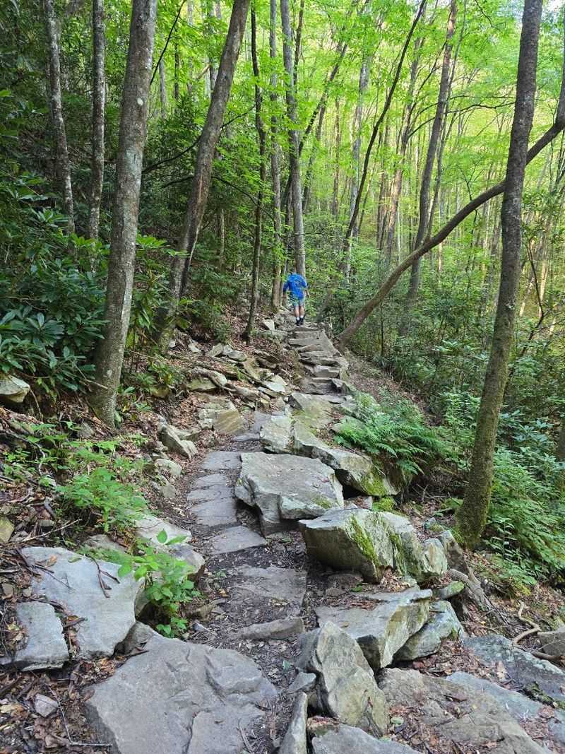 Trail Conditions Worth Respecting