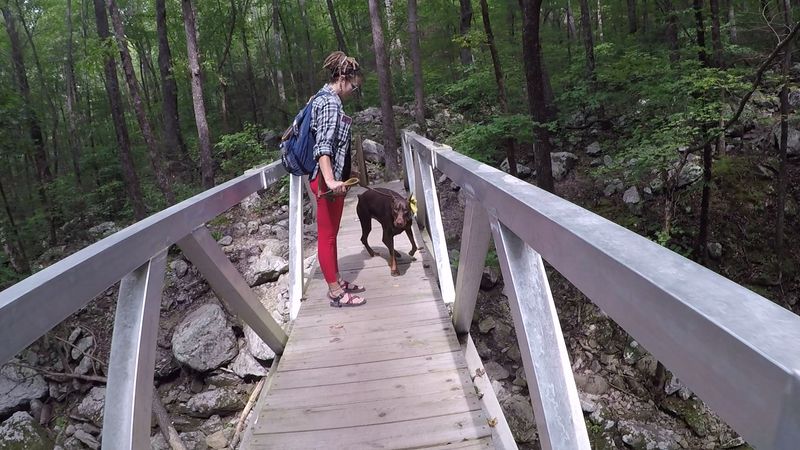 Bridges To Bygone Eras And Soaring Vistas