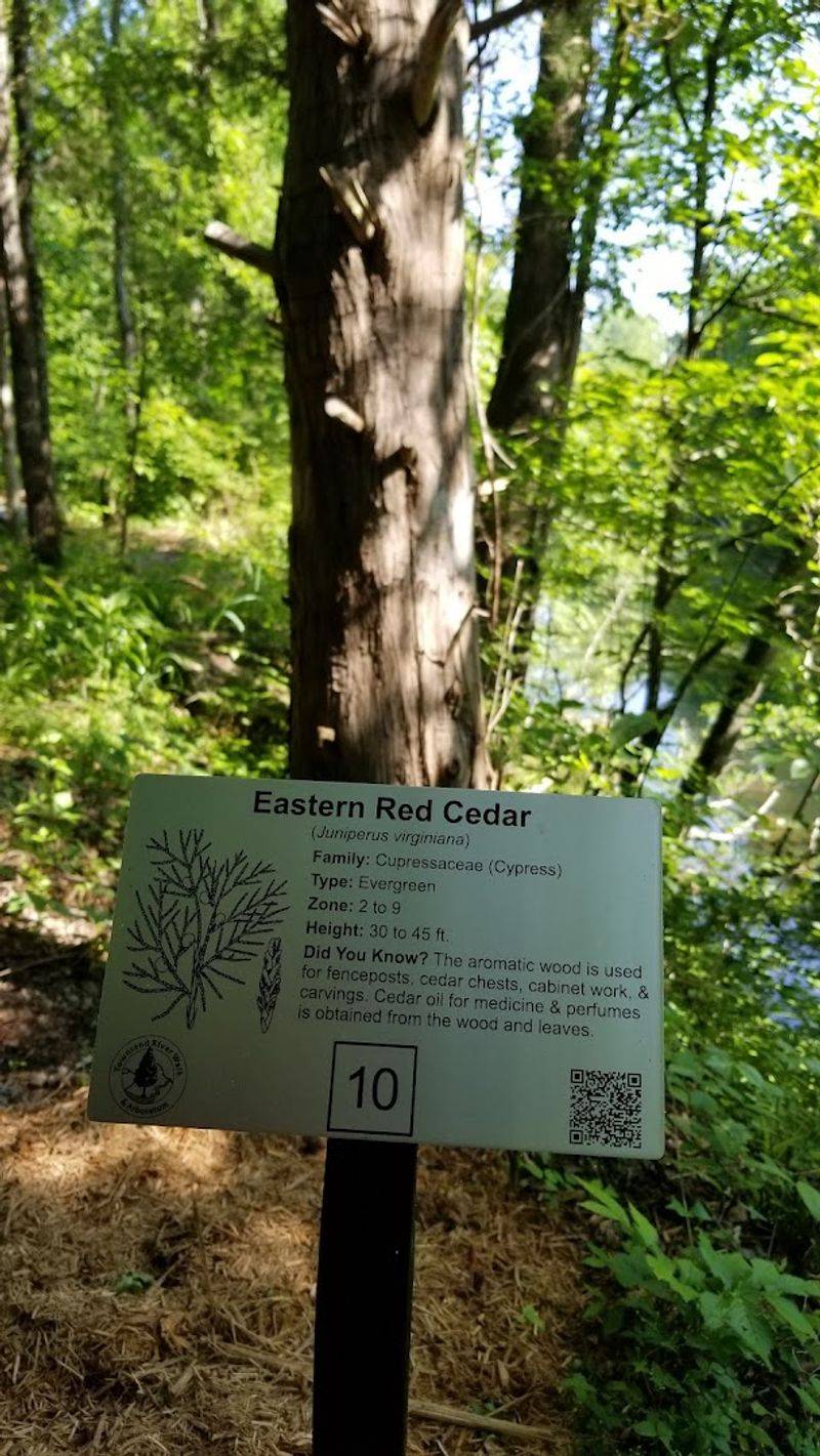 An Arboretum's Flourishing Collection