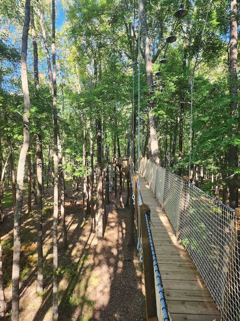 Treetop Trail Canopy Walk Floats Above The Forest