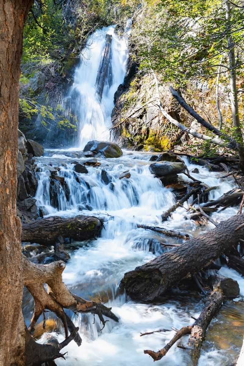 Hunter Creek Falls, The Reason For All Of It