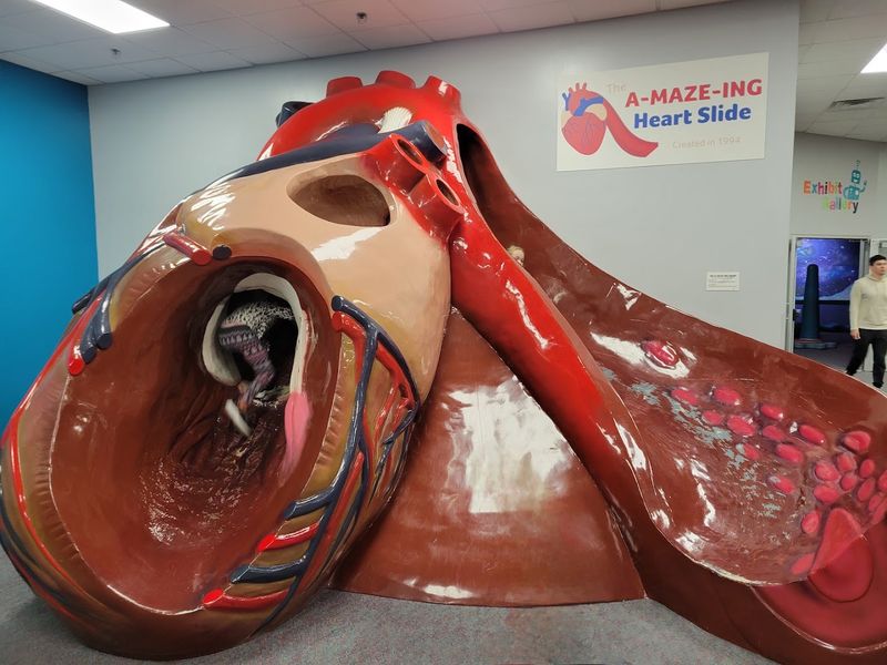 The Giant Human Heart You Can Actually Climb Through