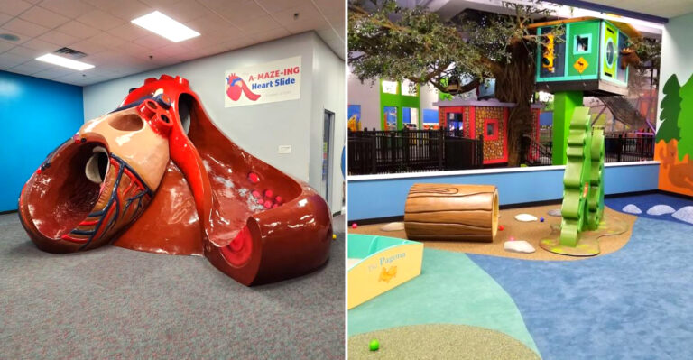 The Wisconsin Museum Where Kids Climb Inside A Giant Human Heart