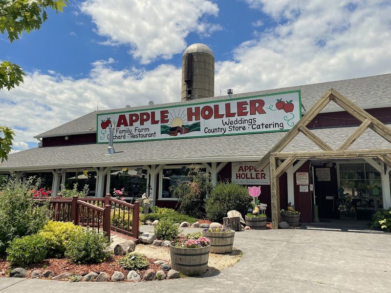 Apple Picking Across The Orchard