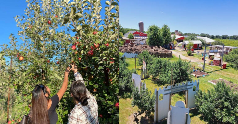 The Wisconsin Orchard Where Apple Picking Becomes A Full Fall Adventure