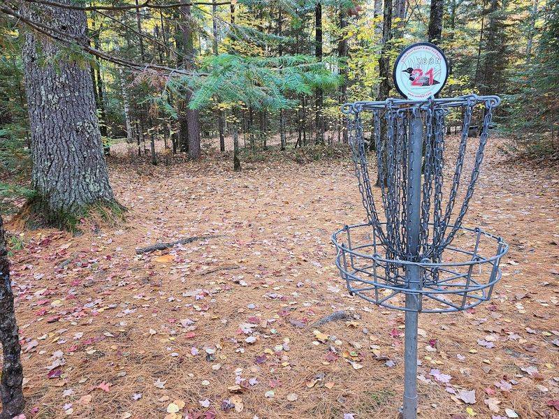Two Baskets On Every Hole Give Players More Ways To Play