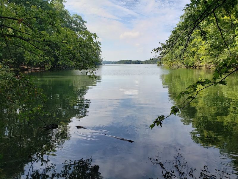 A Lakeside Meander Along Chickamauga's Edge