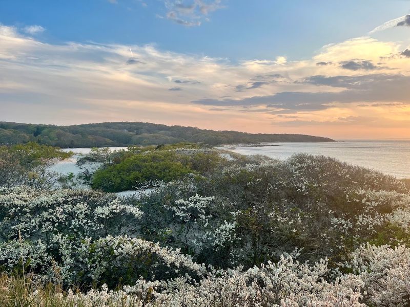 An Island Paradise Beyond Expectation