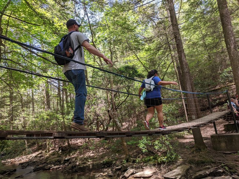 The Swaying Span Over The Creek