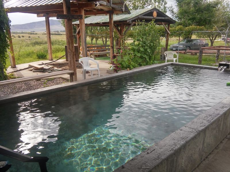 A Pool With Deep Roots