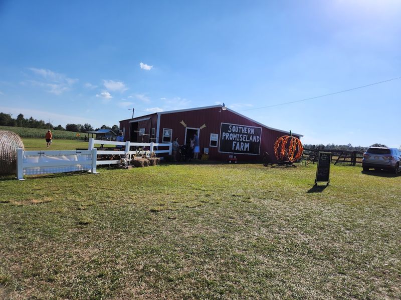 Southern Promiseland Farm