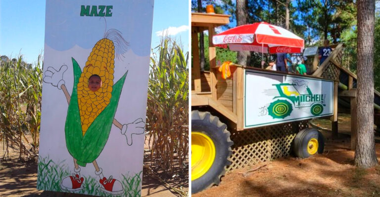 These 6 Mississippi Corn Mazes Get So Twisted Some Visitors Need A Full Hour To Escape