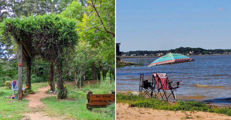 These 8 Mississippi Disc Golf Courses Turn A Free Afternoon Into A Full-Blown Nature Adventure