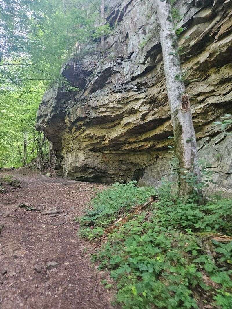 Walking The Historic Heart Of Rhea County