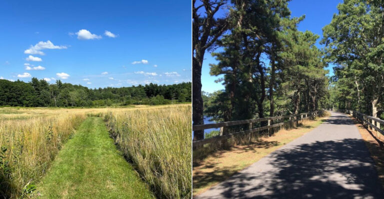 These Peaceful Massachusetts Walking Trails Are Perfect For Seniors Who Like To Take Their Time
