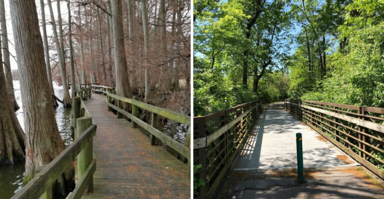 These Senior-Friendly Tennessee Walking Trails Feel So Calm Even The Scenery Slows Down