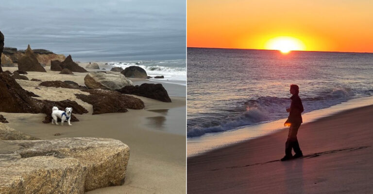 These Undeveloped Massachusetts Beaches Are So Wild And Peaceful, They Feel Like A Dream