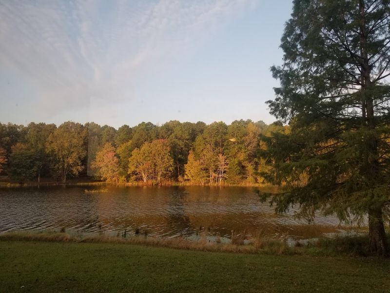Trace Lake And The Water That Pulls You In