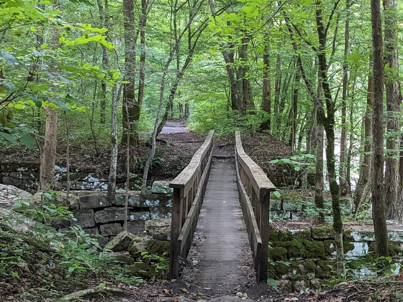 A Railbed Beckons In The Walden Gorge