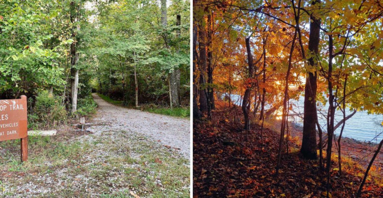 This 4.5 Mile Tennessee Trail Loops Around A Wooded Peninsula Beside Chickamauga Lake