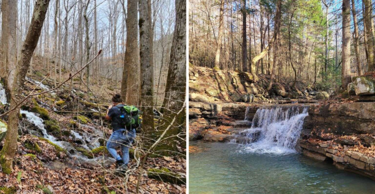 This 6.2 Mile Tennessee Trail Leads To A Waterfall Most Visitors Never See