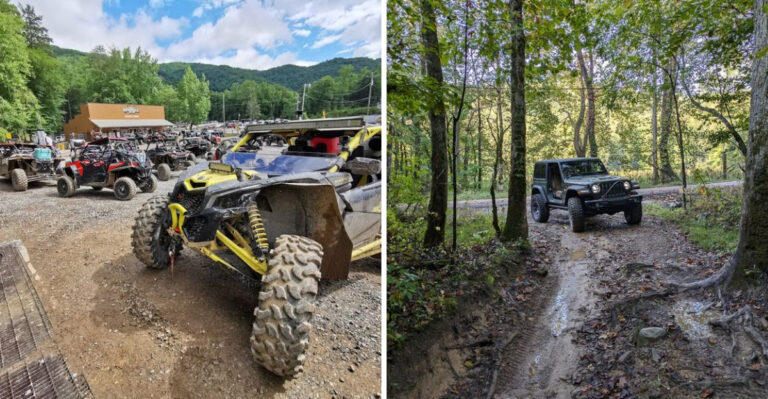 This 73,000-Acre Tennessee ATV Park Has 300 Miles Of Wooded Trails And Mud Bogs And Riders Call It The Best In The Country