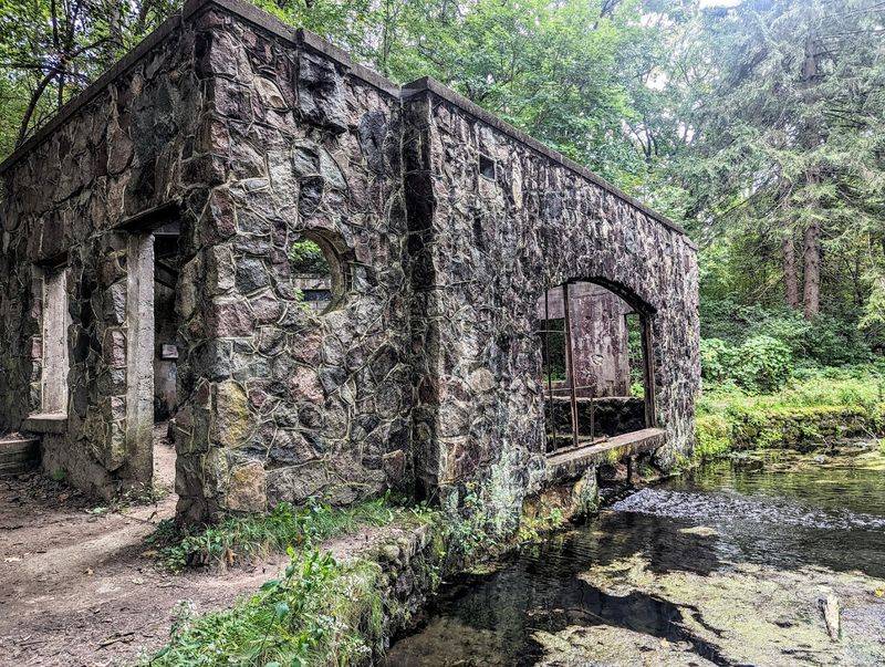 A Forest Trail Now Leads Through A Lost Resort Site