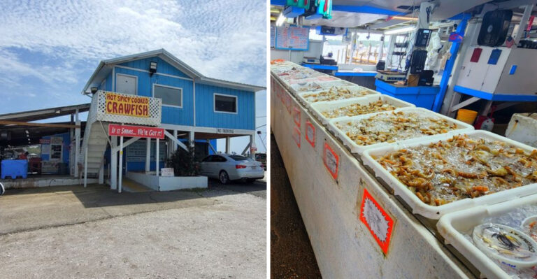 This Alabama Seafood Market Keeps Locals Coming Back For Fresh-Caught Shrimp