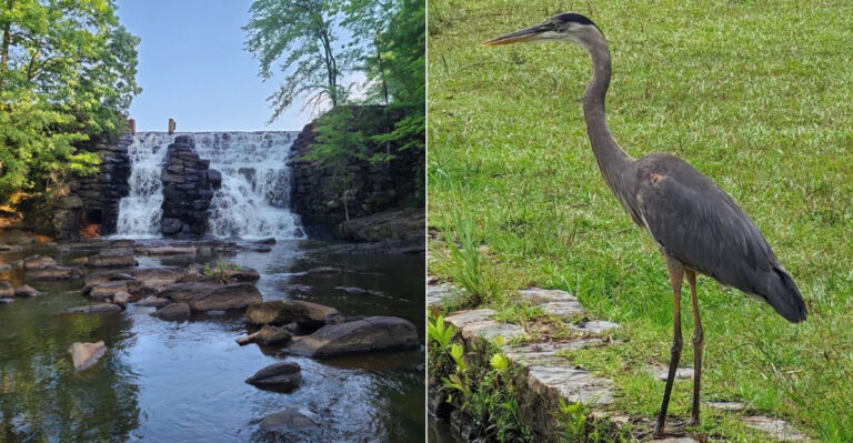 This Alabama State Park Is Huge, Peaceful, And Still Missed By Most Residents
